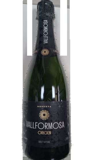 Cava Vallformosa Origen