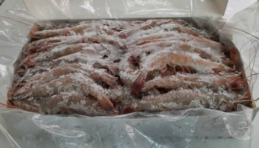 CAMARON ENTERO MARINO CONGELADO ( Envase 2 kg)